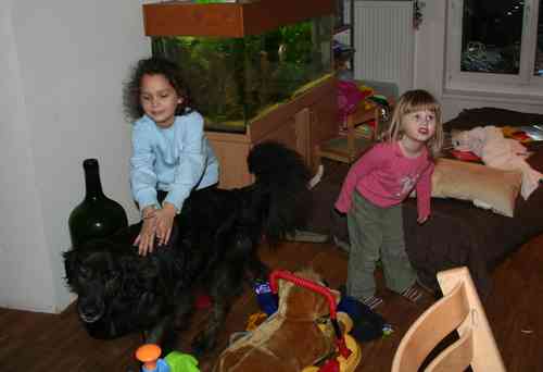 fer til V'inar2 004