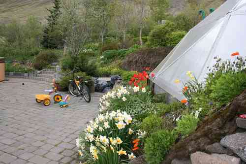 Ungverjaland2008 003
