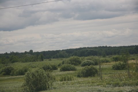 IMG_0675