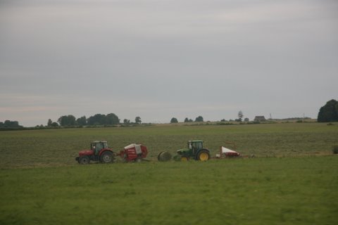 IMG_0729