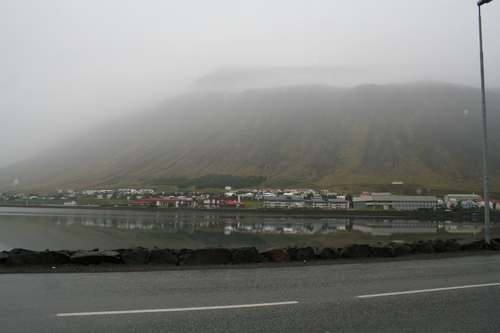 IMG_8528