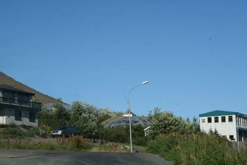 IMG_8504