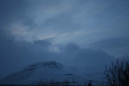 IMG_0918