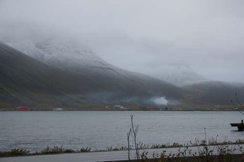 IMG_2850