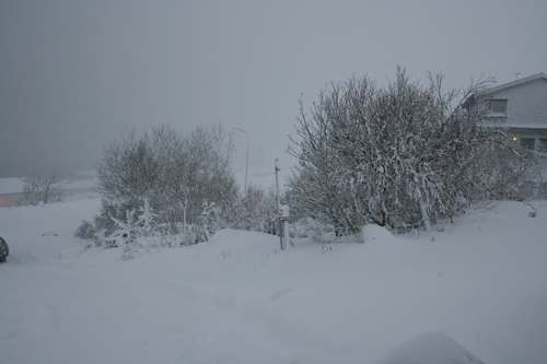 IMG_3041