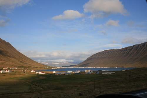 IMG_2336