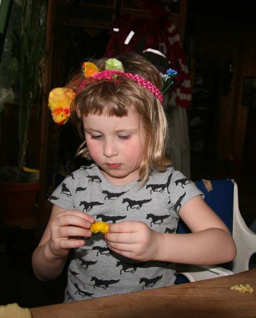 IMG_7503