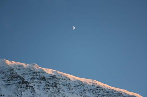 IMG_5556