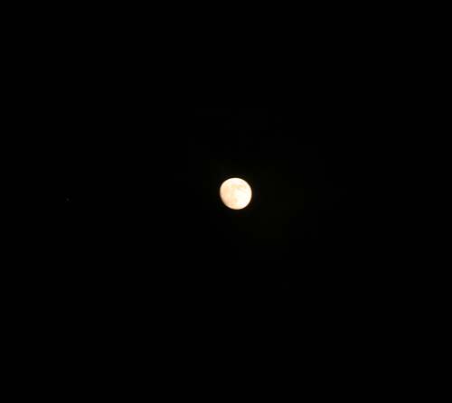 IMG_5720