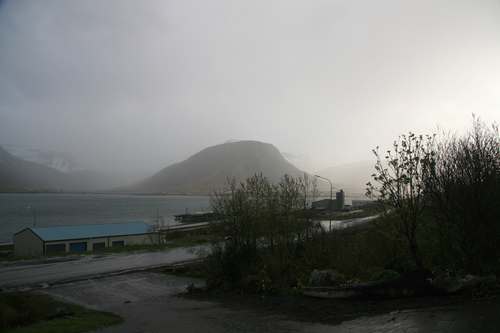 IMG_8785
