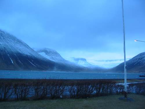 IMG_0494