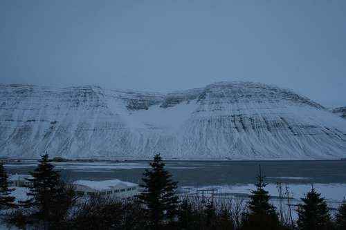 IMG_0611