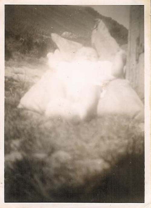 Nonni litli