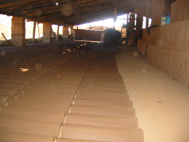 mynd11