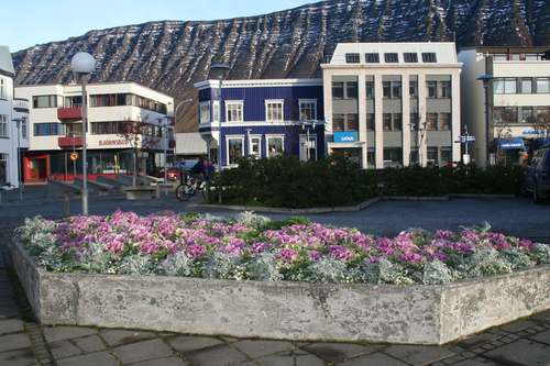 Haustlitir okt.2007 029