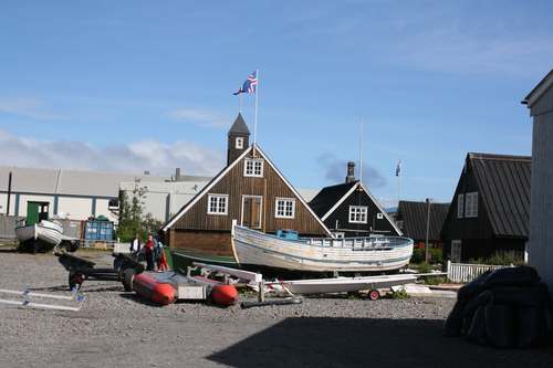 IMG_9517