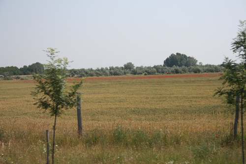 IMG_7730