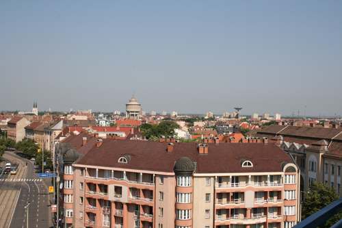 IMG_7696