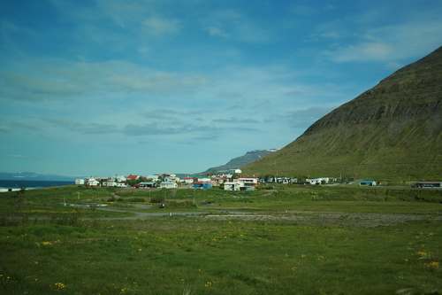 IMG_8379