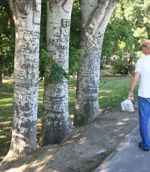 Ungverjaland20084 062
