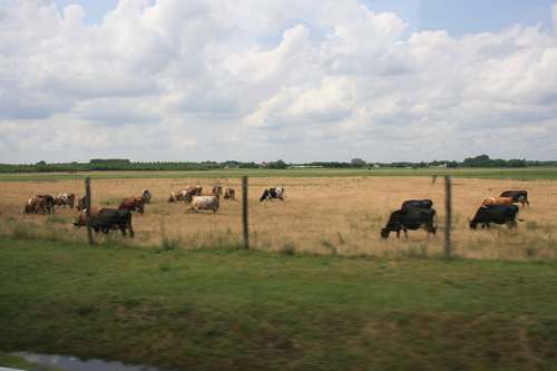 Ungverjaland20083 135