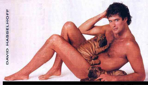 david_hasselhoff_img_2_thumb