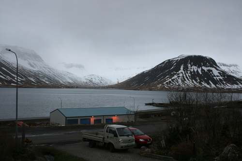 IMG_6181