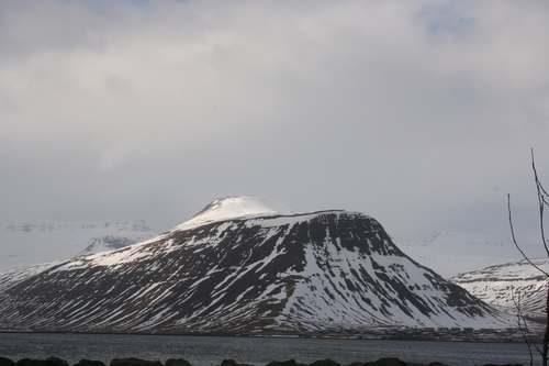 IMG_5943
