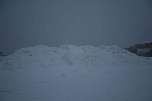 IMG_3177