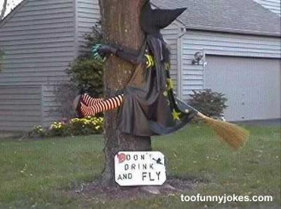 c_users_asdis_pictures_fyndnar_myndir_funny-photo024