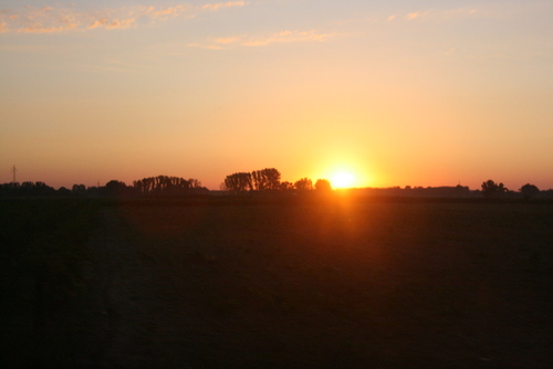 strasburg09 106