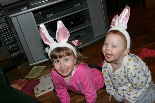 IMG_5259 IMG_5259